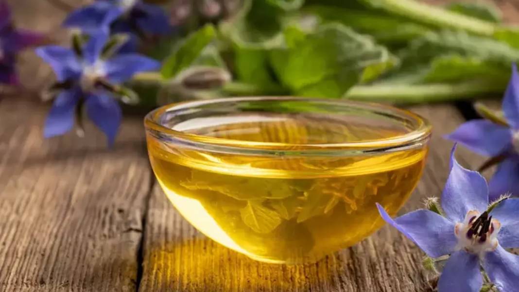 Arılar üzerinize akın edebilir! Bu bitkilerin ne kolonyasını kullanın ne parfümünü, işte arıları  üzerinize çeken o kokular 3